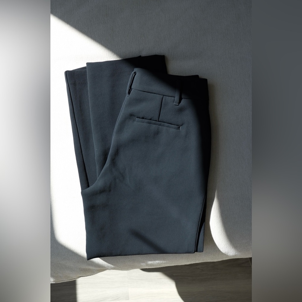 Aritzia Pants